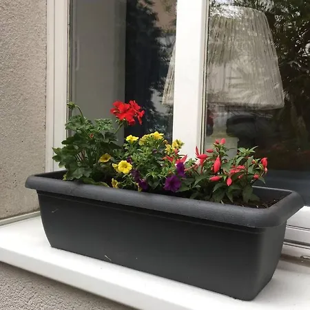 Apartment Bach